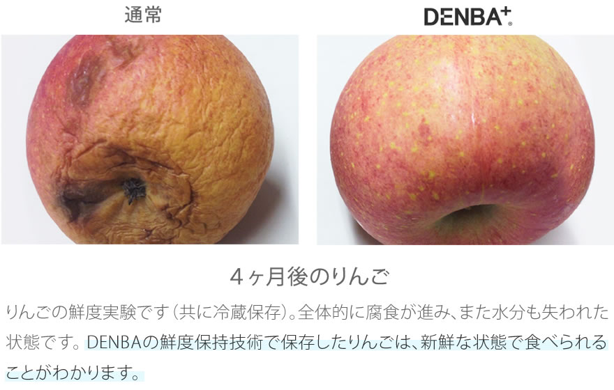 4ヶ月後のりんご