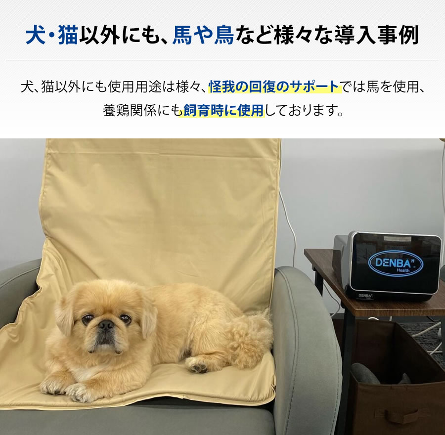 犬・猫以外にも、馬や鳥など様々な導入事例