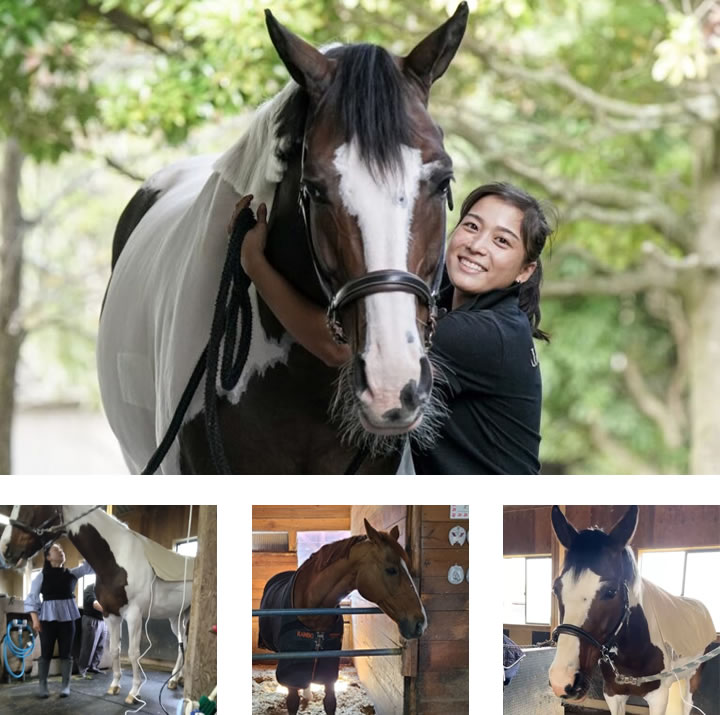 日本を代表する馬術選手やその愛馬のコンディショニング作りをサポート