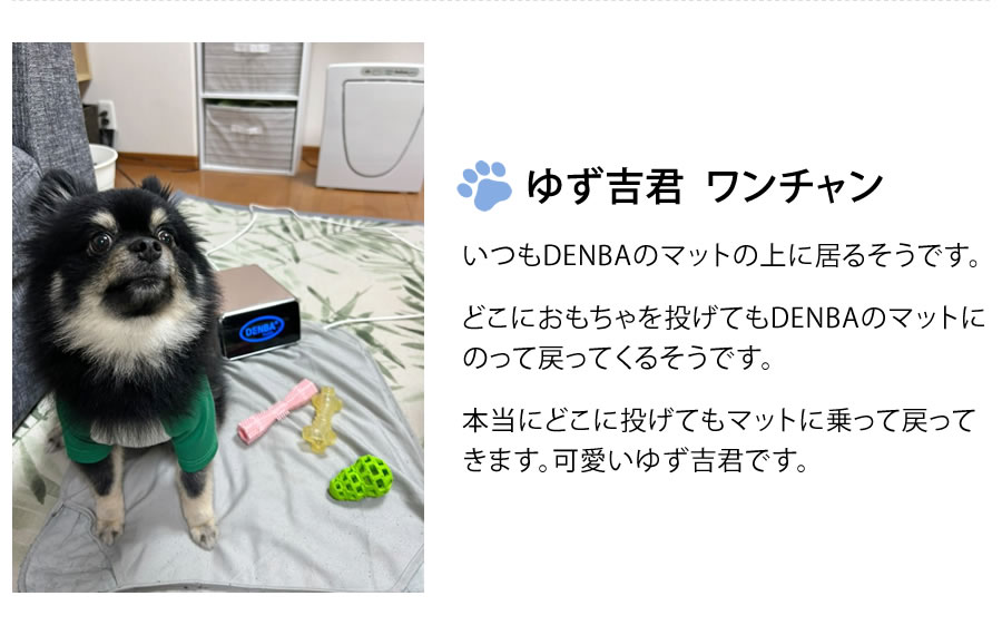 ゆず吉君 ワンチャン