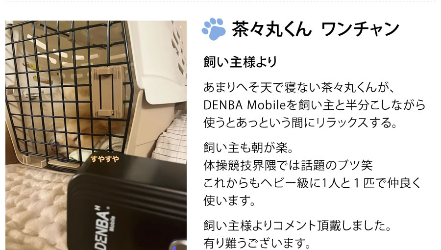 茶々丸くん ワンチャン