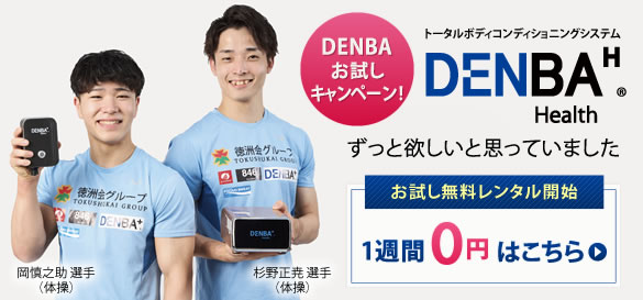 DENBA Health 電位空間マット